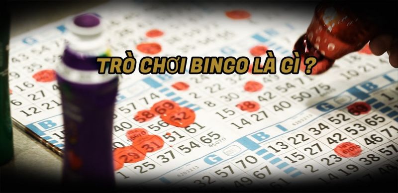 Bingo là gì? Luật chơi và Cách chơi Bingo online như thế nào?